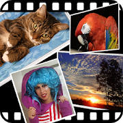 Gallery Live Wallpaper Gallery Live Wallpaper