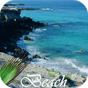 Beach Video Live Wallpaper