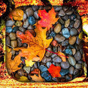 Autumn Live Wallpaper | Autumn Wallpapers
