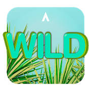 Apolo Wild – Theme Icon pack Wallpaper Apolo Wild – Theme Icon pack Wallpaper