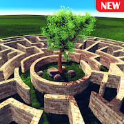 3D Maze (The Labyrinth) 3D Maze (The Labyrinth)