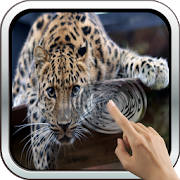 Magic Touch: Leopard Live Wall