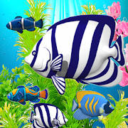 Blue Aquarium Blue Aquarium