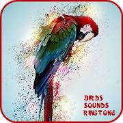 150+ Birds Sounds and Ringtone 150+ Birds Sounds and Ringtone