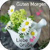 Guten Morgen Bilder Guten Morgen Bilder