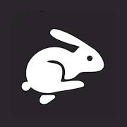 Bunny Passageiro