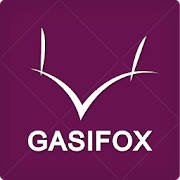 가시여우 – gasifox