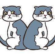 猫のまちがいさがし 猫のまちがいさがし