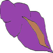 Caracola Mágica Caracola Mágica