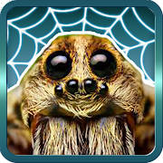 Spider Gagambattle!