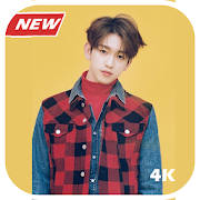 Jinyoung Got7 Wallpaper KPOP HD Jinyoung Got7 Wallpaper KPOP HD