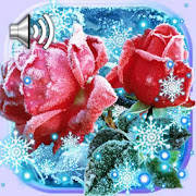Roses Snow Winter Live Wallpaper