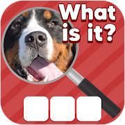 MEGA ZOOM QUIZ 2021: Close Up Pics Game – Pic Quiz MEGA ZOOM QUIZ 2021: Close Up Pics Game – Pic Quiz
