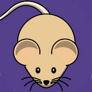 Cat Alone Toy – Fun Games for Cats Cat Alone Toy – Fun Games for Cats