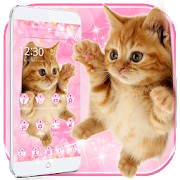 Cute Kitty Theme Cute Kitty Theme
