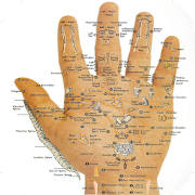 Acupressure Tips Acupressure Tips
