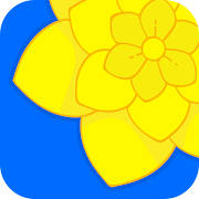 Gallery – photo & video player Gallery – photo & video player