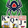 Vita Spider for Seniors