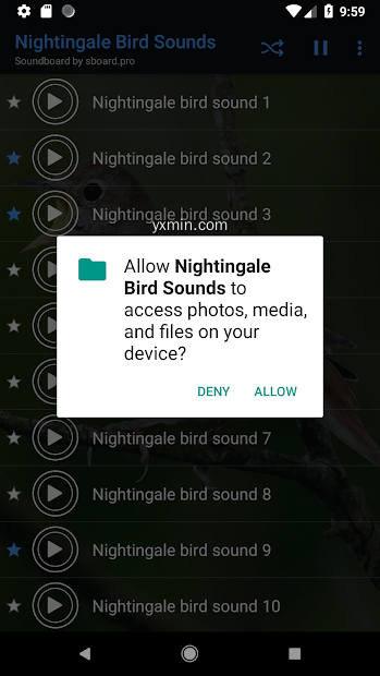 【图】Nightingale bird sounds ~ Sboa(截图2)