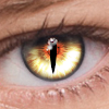 [APK] FoxEyes-更改眼睛颜色