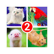 Guess the word 2! ~ 4 Pictures Guess the word 2! ~ 4 Pictures