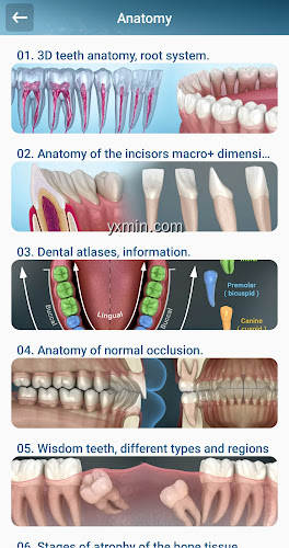 【图】Dental 3D Illustrations(截图2)