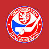 Hokejbal