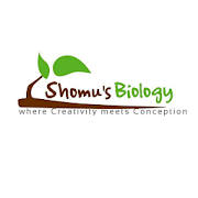 Shomu’s biology