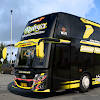 Livery Bussid Bus Pertama