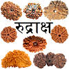 Rudraksha Information