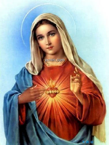 【图】Imagem de Nossa Senhora Maria(截图 0)