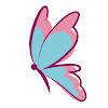 Punto y Encanto Punto y Encanto
