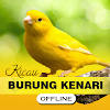 Masteran Kenari Gacor Offline Masteran Kenari Gacor Offline