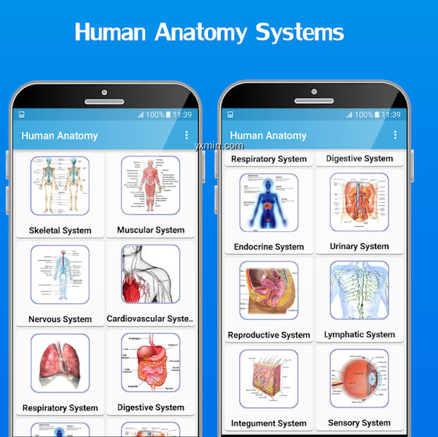 【图】Atlas of Human Anatomy 2020(截图2)