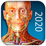 Atlas of Human Anatomy 2020