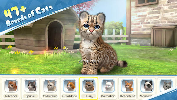 【图】Kitten: Cat Game Simulator(截图2)