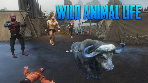 【图】The Buffalo – Animal Simulator(截图 1)