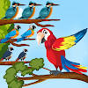 Bird Sort Color Puzzle Game