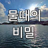 물때와낚시 (물때표,날씨,낚시,수온,조석예보,CCTV)