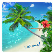 Beach Live Wallpaper Beach Live Wallpaper