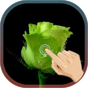 Love Rose Wave livewallpaper Love Rose Wave livewallpaper