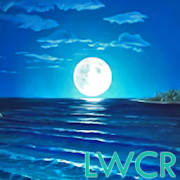 夜间海滩lwp