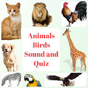 Animal and Bird Sound for Kids