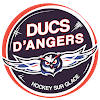 Ducs d’Angers