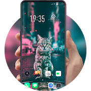 Cat road night theme shining building flower Cat road night theme shining building flower