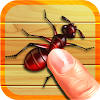 Bug Smash Bug Smash