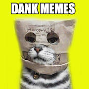 DANK MEMES