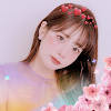 Sweet Beauty Camera Sweet Beauty Camera