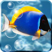 Aquarium Free Live Wallpaper Aquarium Free Live Wallpaper