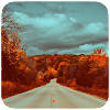 Road Wallpaper